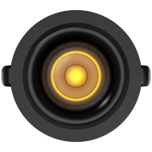 CITRIX COB DOWNLIGHT (RF 2.4G – 2 YEAR WARRANTY)